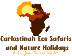 Carlostinah Eco Safaris and Nature Holidays Ltd